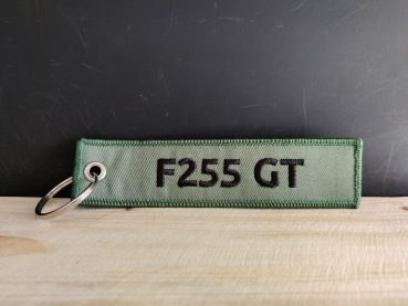 Fendt 255 GT Schlüsselanhänger