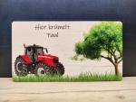 Massey Ferguson Traktor Brettchen mit Wunschnamen